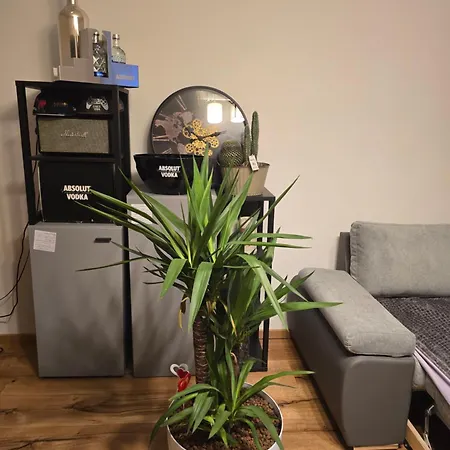 Murtal Heart شقة كنيتلفيلد